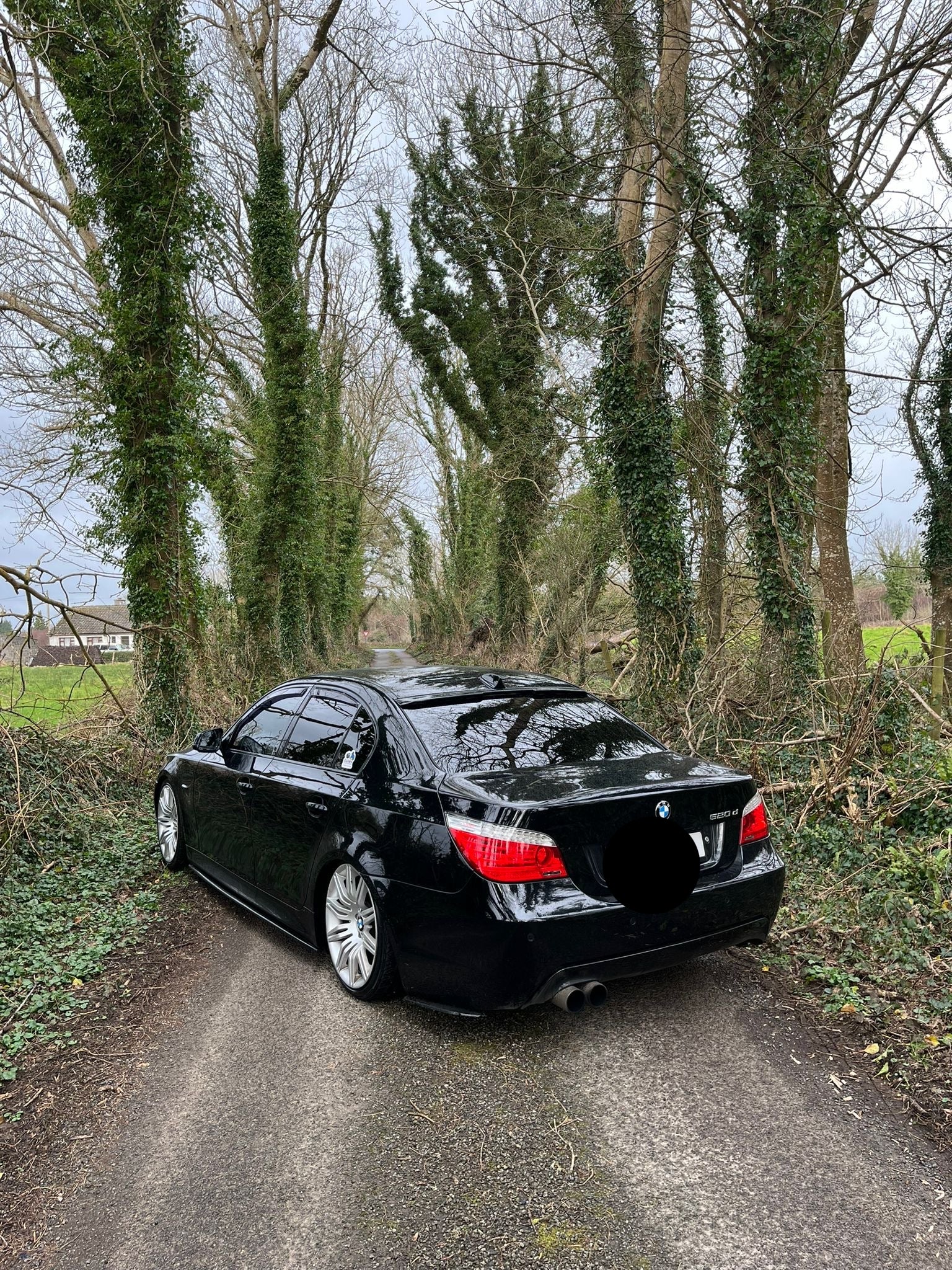 BMW E60 Rear Spats