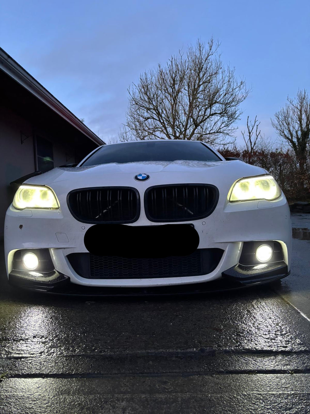 BMW F10 M-Performance Splitter